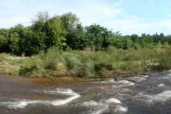 Rio anisacate 4 (1)